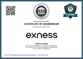 Unlocking Potential A Comprehensive Guide to Exness Trading Platform